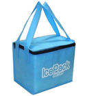 Portable Nonwoven Insulated Cooler Bags For Promotional , Grey / Blue