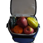Two Compartment Insulated Picnic Bag PEVA PVC Cotton Food Container