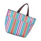 Insulated Picnic Cooler Bags Polyester Lunch Bags For Frozen Food