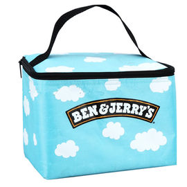 35*22*30 CM Size Insulated Picnic Bag Non Woven With 2Mm Aluminum EPE